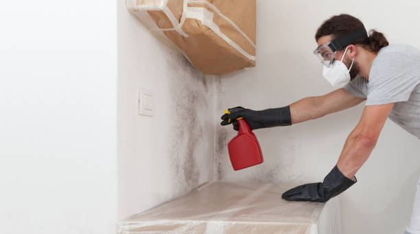Professional Crawl Space Mold Removal technician working in Spring Park, MN